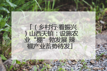 （乡村行·看振兴）山西天镇：设施农业“棚”勃发展 辣椒产业蓄势待发