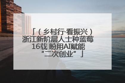 （乡村行·看振兴）浙江新阶层人士种蓝莓16载 盼用AI赋能“二次创业”