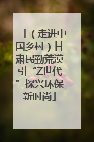 （走进中国乡村）甘肃民勤荒漠引“Z世代”探兴环保新时尚