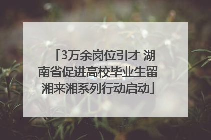 3万余岗位引才 湖南省促进高校毕业生留湘来湘系列行动启动