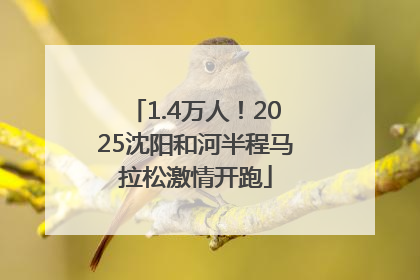 1.4万人！2025沈阳和河半程马拉松激情开跑