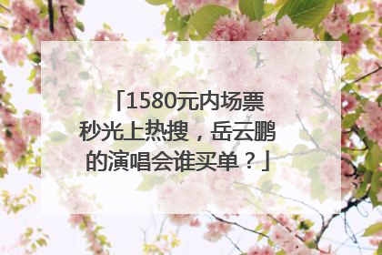 1580元内场票秒光上热搜，岳云鹏的演唱会谁买单？