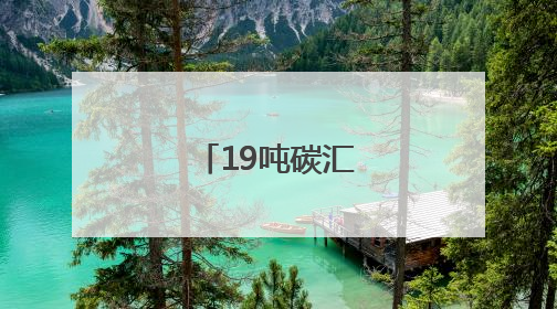 19吨碳汇补偿到位
