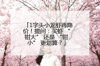 1字头小龙虾再降价！提问：买虾 “钳大” 还是 “钳小” 更划算？