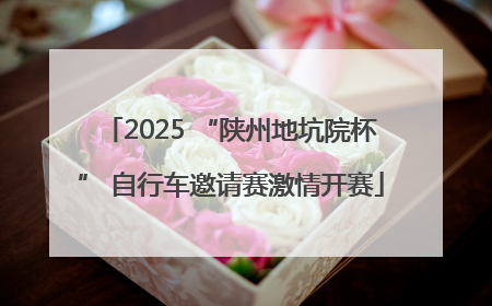 2025 “陕州地坑院杯” 自行车邀请赛激情开赛