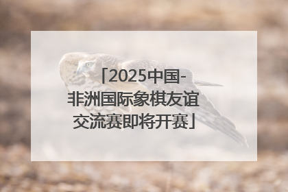 2025中国-非洲国际象棋友谊交流赛即将开赛
