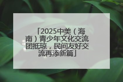 2025中美（海南）青少年文化交流团抵琼，民间友好交流再添新篇