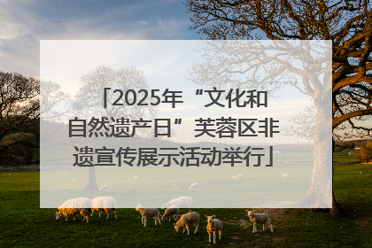 2025年“文化和自然遗产日”芙蓉区非遗宣传展示活动举行