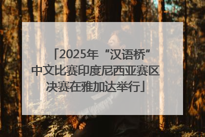 2025年“汉语桥”中文比赛印度尼西亚赛区决赛在雅加达举行