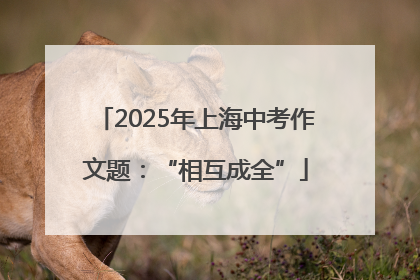 2025年上海中考作文题：“相互成全”