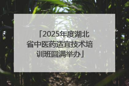 2025年度湖北省中医药适宜技术培训班圆满举办