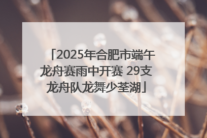 2025年合肥市端午龙舟赛雨中开赛 29支龙舟队龙舞少荃湖