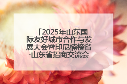 2025年山东国际友好城市合作与发展大会暨印尼楠榜省·山东省招商交流会在济南槐荫举行