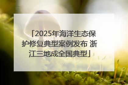 2025年海洋生态保护修复典型案例发布 浙江三地成全国典型