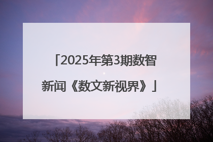 2025年第3期数智新闻《数文新视界》