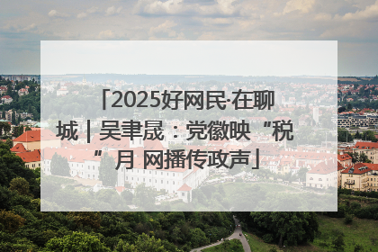 2025好网民·在聊城｜吴聿晟：党徽映“税”月 网播传政声