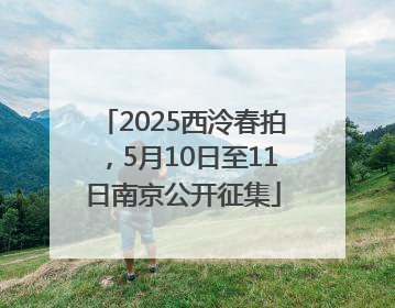 2025西泠春拍，5月10日至11日南京公开征集