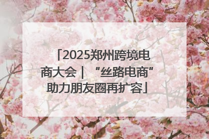 2025郑州跨境电商大会｜“丝路电商”助力朋友圈再扩容