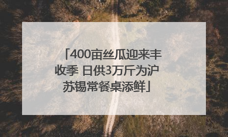 400亩丝瓜迎来丰收季 日供3万斤为沪苏锡常餐桌添鲜