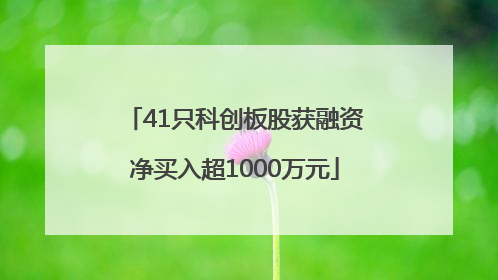 41只科创板股获融资净买入超1000万元