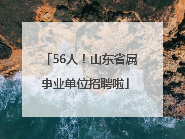 56人！山东省属事业单位招聘啦