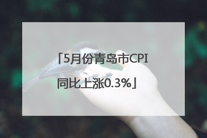 5月份青岛市CPI同比上涨0.3%