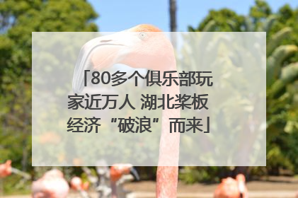 80多个俱乐部玩家近万人 湖北桨板经济“破浪”而来