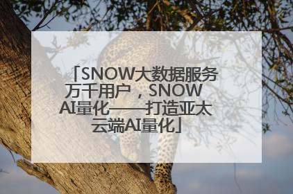 SNOW大数据服务万千用户，SNOW AI量化——打造亚太云端AI量化